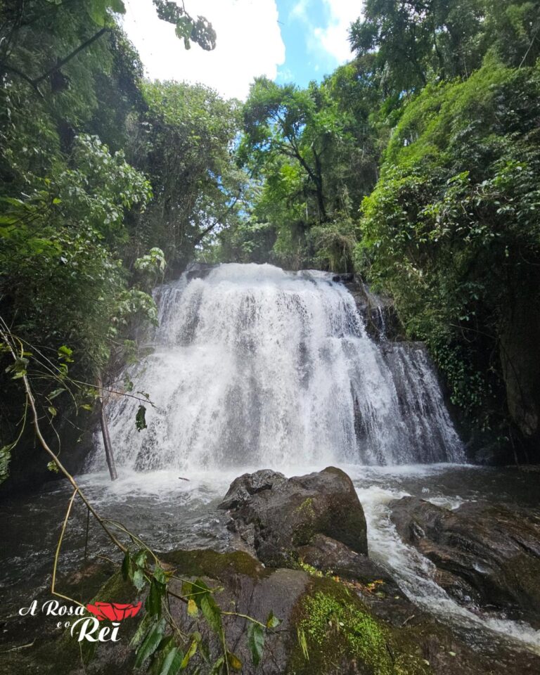 Lazer com Conforto e Conexão com a Natureza: A Rosa e o Rei, Seu Refúgio na Serra da Mantiqueira