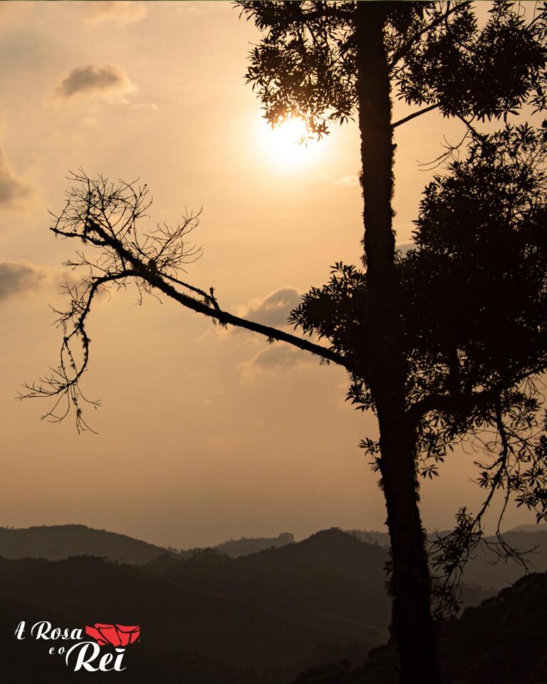 Natureza Exuberante: Um Convite para a Conexão e o Bem-Estar